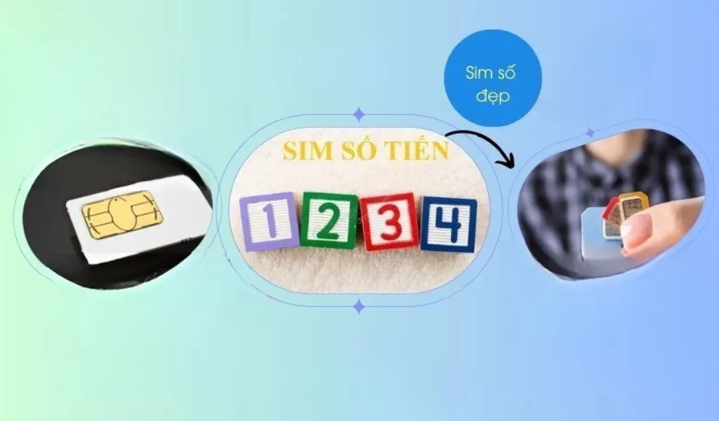Chọn sim điện thoại gia đình chứa sảnh tiến giúp công việc thăng tiến không ngừng