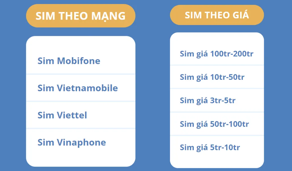 Ký gửi số điện thoại tại Vinasim với đa dạng nhà mạng, mức giá