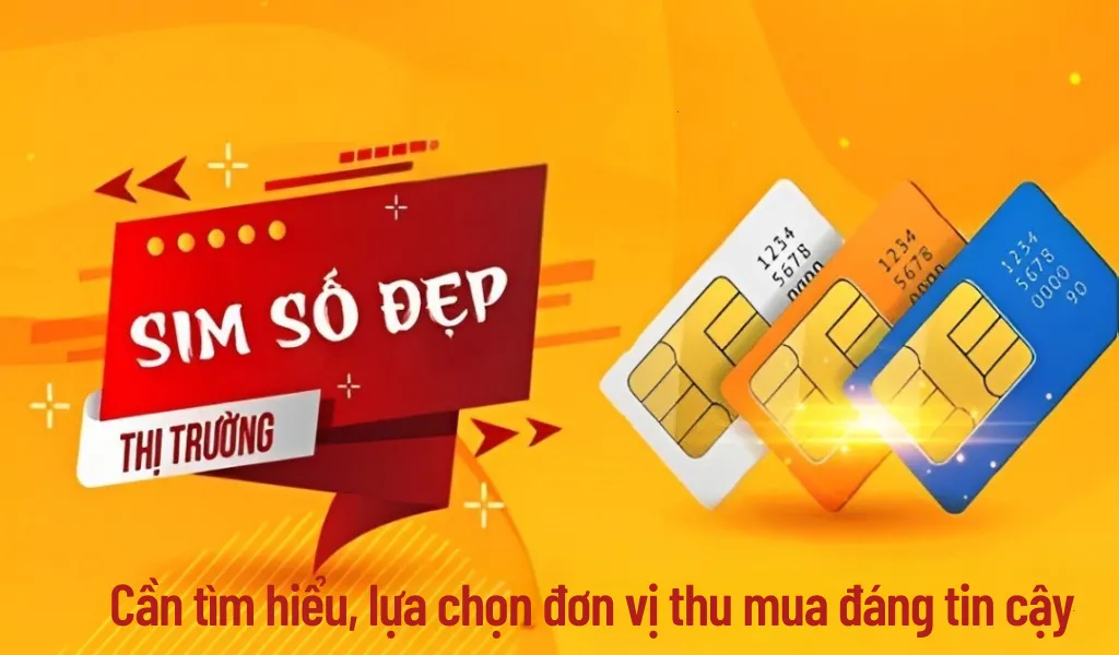 Chọn đơn vị thu mua là yếu tố quan trọng để giao dịch an toàn, hợp pháp
