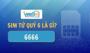 Sim tứ quý 6666 - Rước lộc về nhà, sự nghiệp thăng hoa