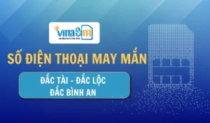 Sim số điện thoại may mắn được đông đảo dân tình săn lùng